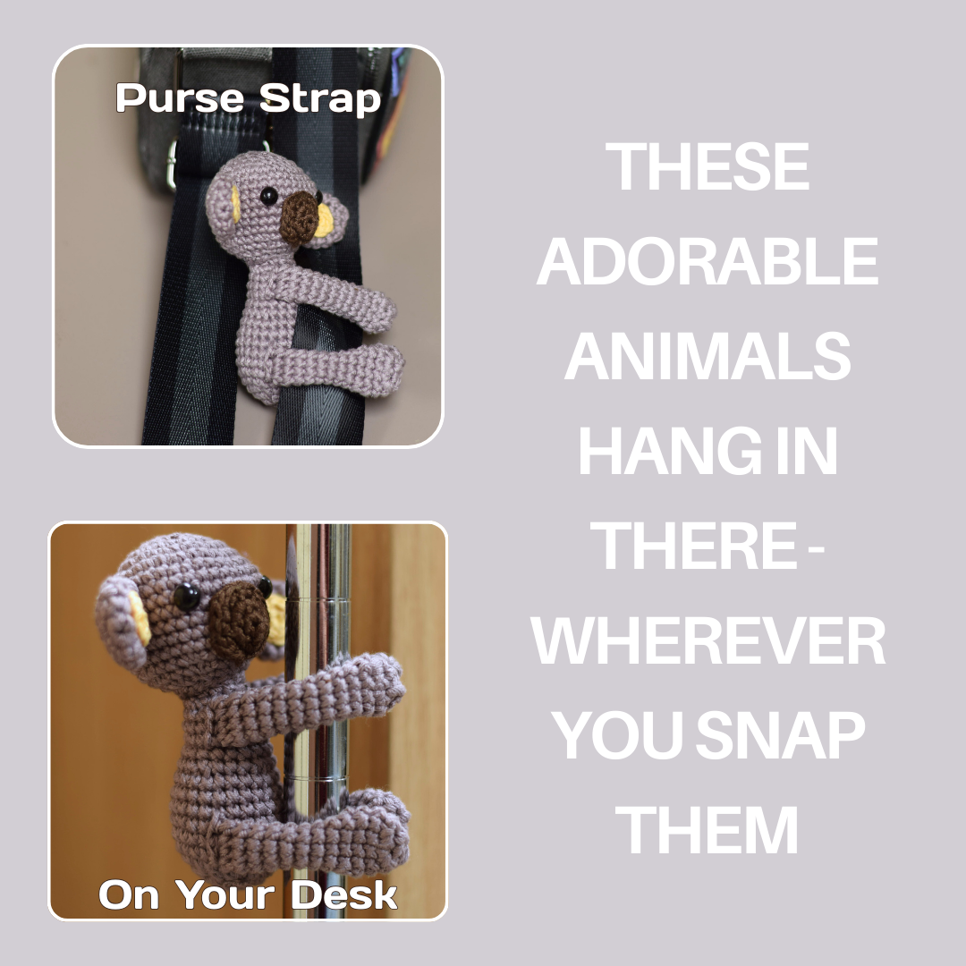 Koala Bear just "hanging" out