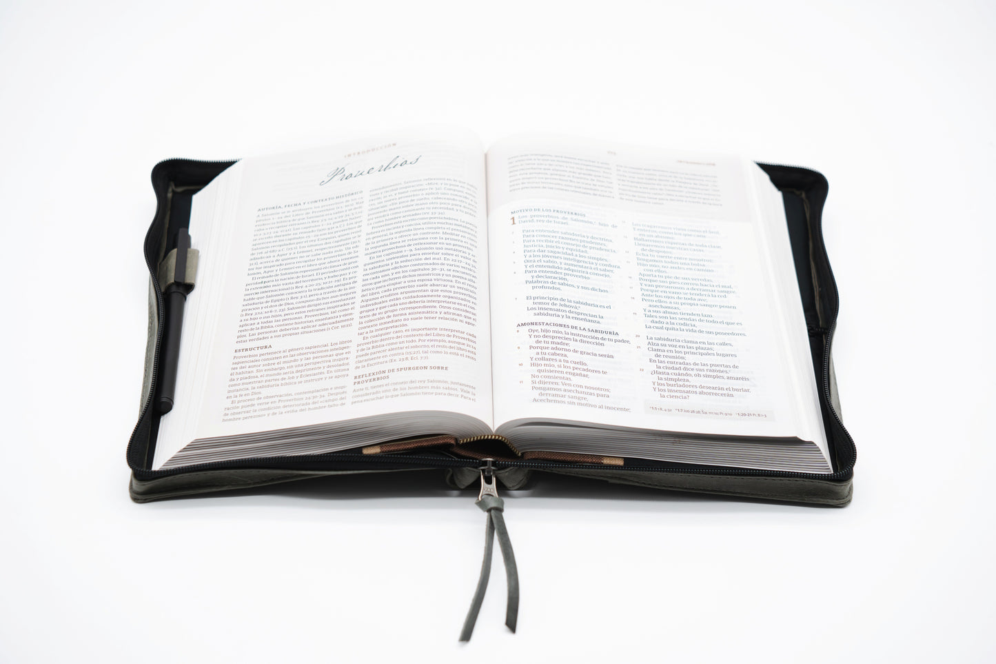 Gray Full Grain, Natural Leather Bible Cover / Case with Zipper